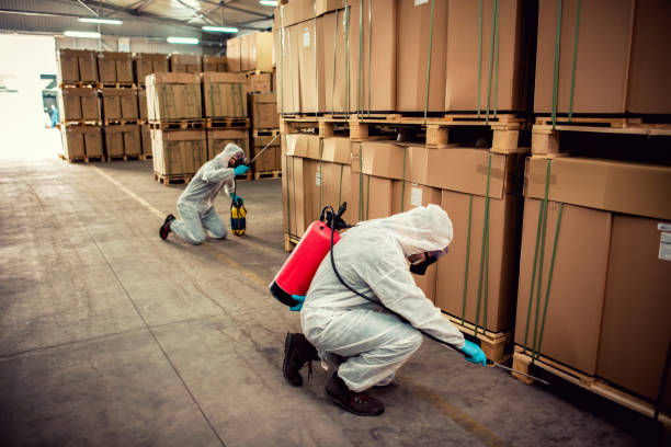 Best Termite Control Services  in Christiansburg, VA