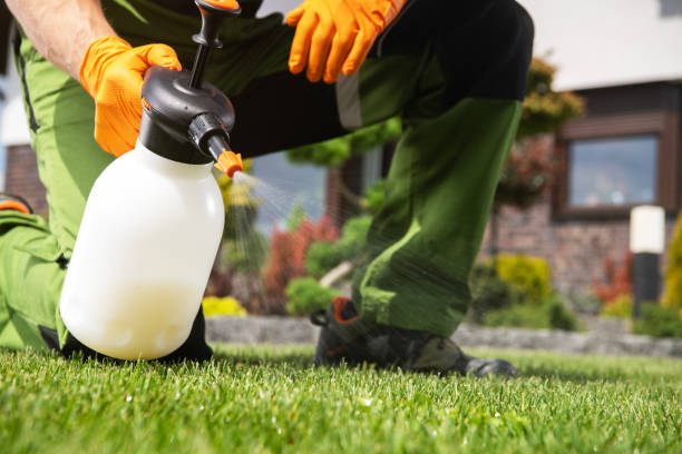 Best Best Pest Control Companies  in Christiansburg, VA