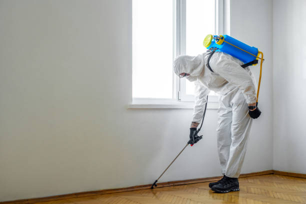 Best Residential Pest Control  in Christiansburg, VA