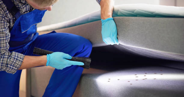 Best Pest Removal Services  in Christiansburg, VA