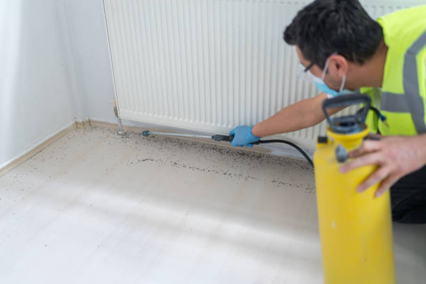 Best Bed Bug Extermination  in Christiansburg, VA